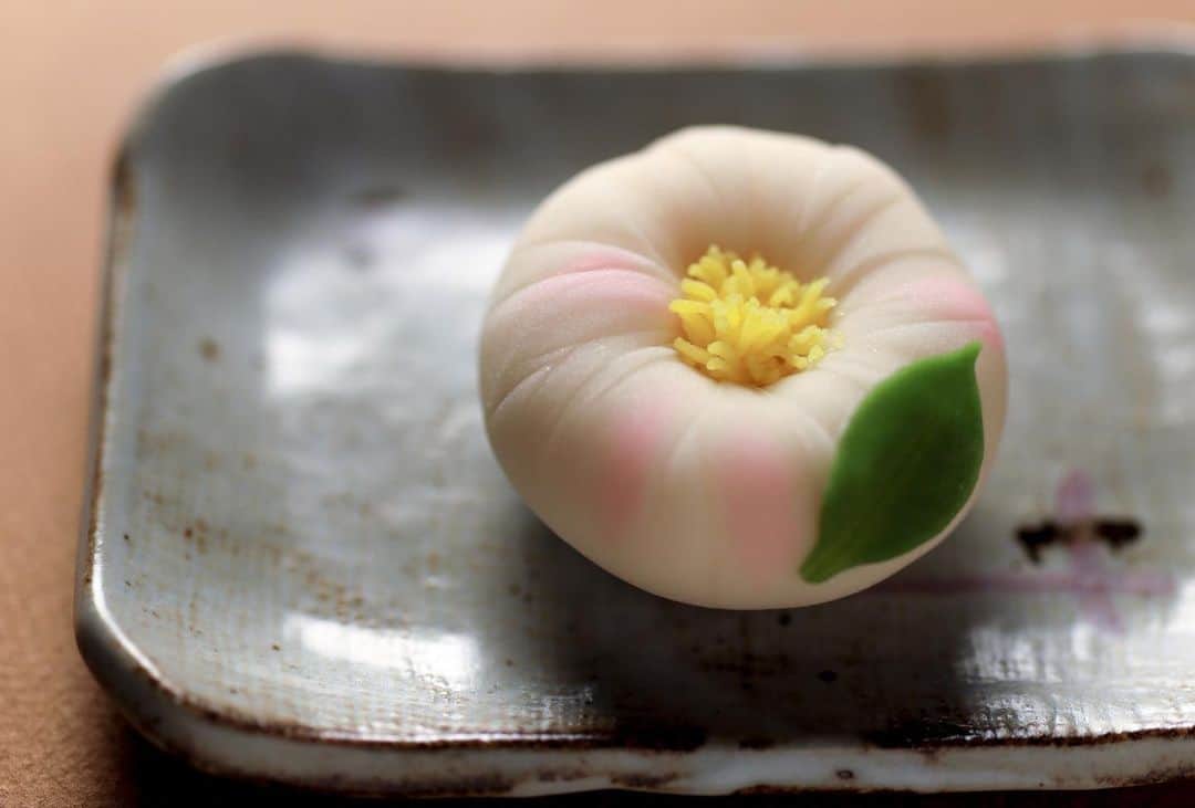 Toru Tsuchieのグルメインスタ