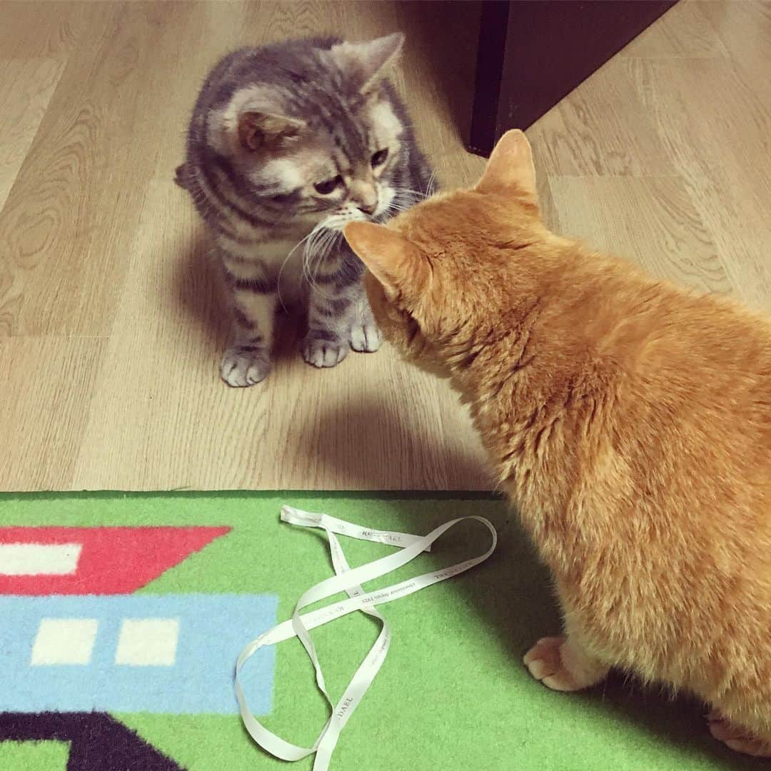 なごむのインスタグラム