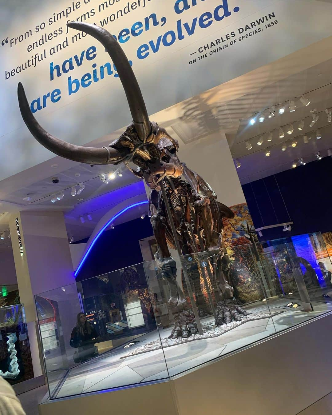 ケナ・ジェームスさんのインスタグラム写真 - (ケナ・ジェームスInstagram)「Went to the Smithsonian while I was in D.C. and I’m just getting around to posting the pics! I loved it so much (even though I got drenched walking in the rain to other parts)」10月28日 7時24分 - realkennajames