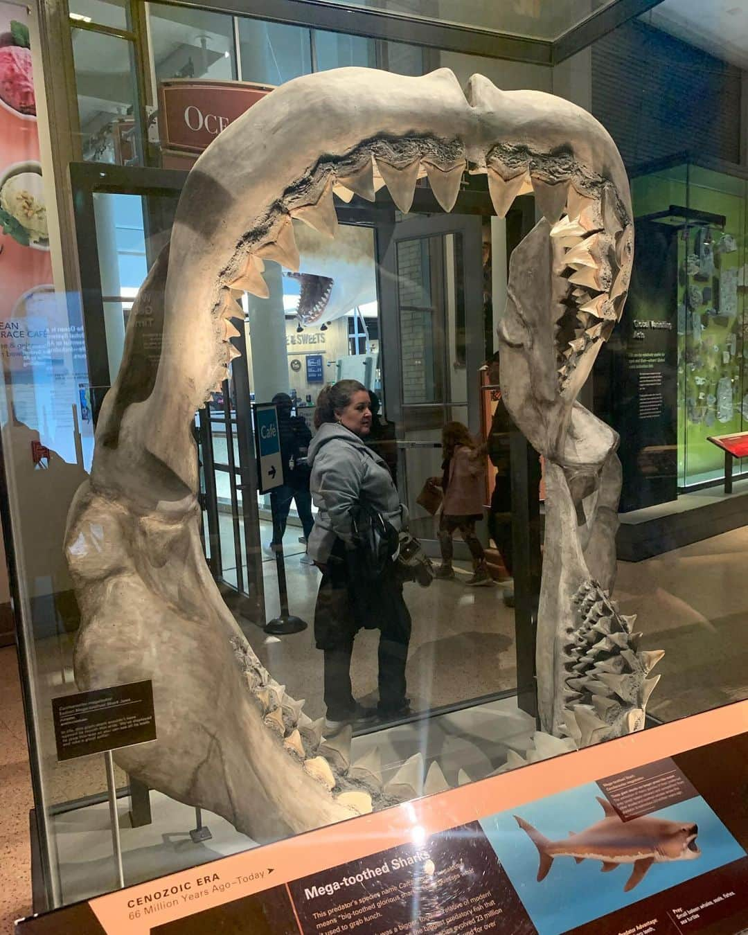 ケナ・ジェームスさんのインスタグラム写真 - (ケナ・ジェームスInstagram)「Went to the Smithsonian while I was in D.C. and I’m just getting around to posting the pics! I loved it so much (even though I got drenched walking in the rain to other parts)」10月28日 7時24分 - realkennajames