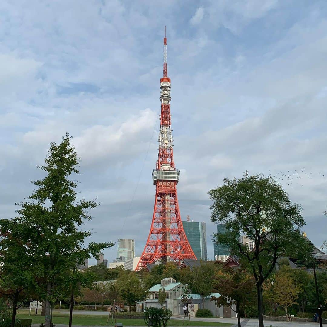 くろさんのインスタグラム写真 - (くろInstagram)「たわ！ #🗼 #tokyotower #東京タワー #芝公園 #増上寺 #zojoji #shibapark #tokyo_instagram #東京タワーが好き」10月28日 8時00分 - m6bmw