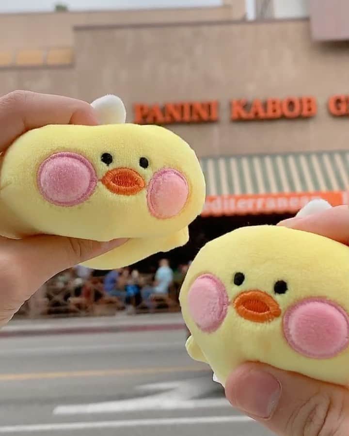 Chuuのインスタグラム：「모찌모찌한 빵빵츄💛#fanfanchuu✨」