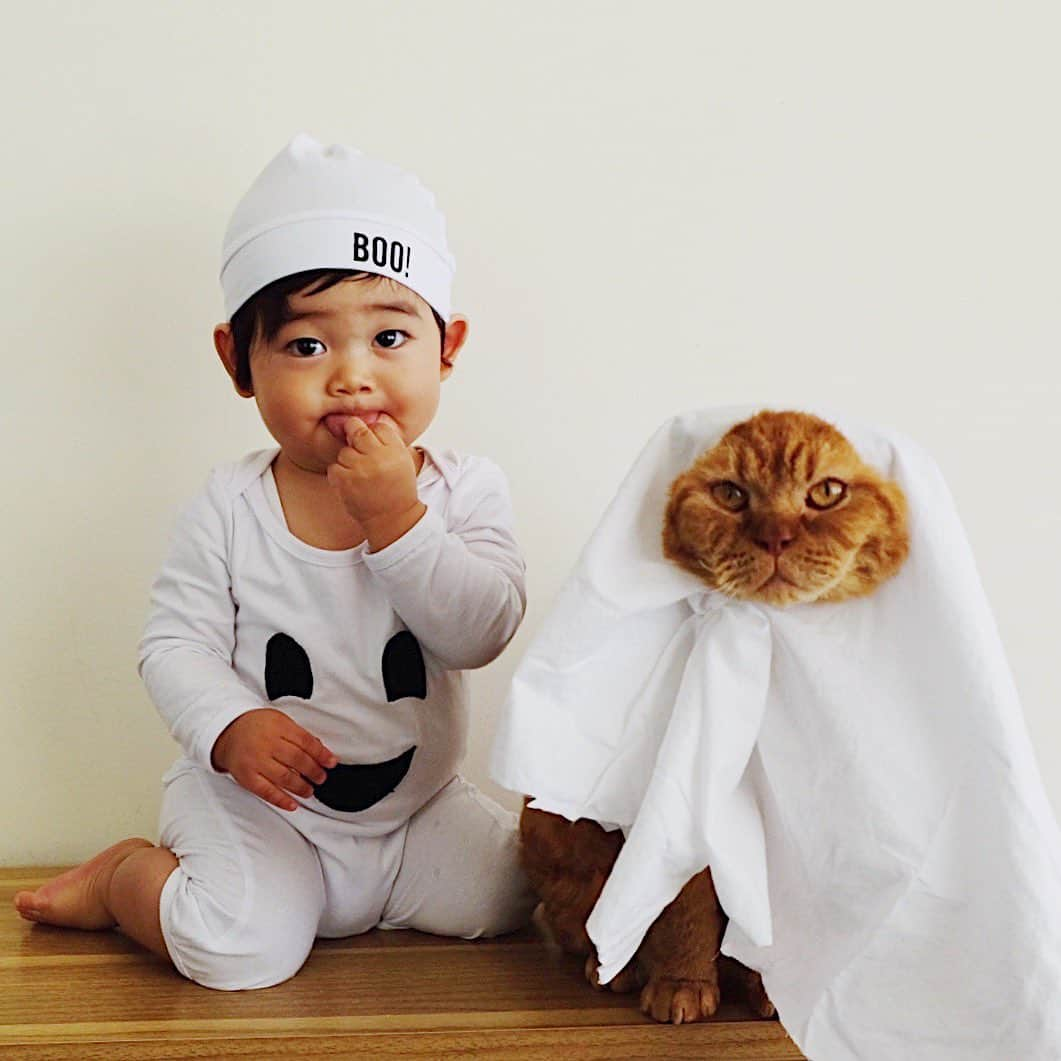 ギネス & ピムスさんのインスタグラム写真 - (ギネス & ピムスInstagram)「27/10/2019 Happy Sunday! ・ Happy #Halloween ! Boo!!👻 Enjoy the rest of your weekend! ・ ・ ハロウィンコスプレ第1弾👻 みんなでおばけ笑 第2弾もあるけど ハロウィンまでに 写真撮れるといいな🤣 時間があっという間に過ぎて行き サマータイムも終わり 今日から 日本との時差は-9時間になりました🤣 ・ 今日は急遽 フリーマーケットに参加して クローゼットの要らないもの持って行ったら 売り上げがなんと200£！！ ありがたい！！ それでは引き続き素敵な週末を♬ ・ ・ #ギネスくん #ピムスくん  #ギネピムと凪くん  #10monthsold #生後10ヶ月 #babyboy #男の子ベビー #赤ちゃんのいる生活 #赤ちゃんのいる暮らし #赤ちゃんと猫 #猫と赤ちゃん」10月27日 23時42分 - rina_takei