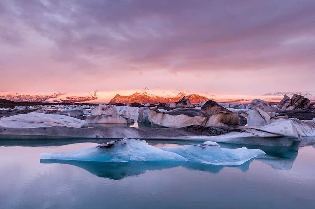 National Geographic Travelさんのインスタグラム写真 - (National Geographic TravelInstagram)「Photo by @daisygilardini | There is always something very special about photographing ice. The shapes, the colors, and the transparency of it are simply mesmerizing.  Jokulsarlon is the best known and the largest of a number of glacial lakes in Iceland. It is situated at the south end of the Vatnajokull Glacier. The lake is filled with icebergs, which are calving off the Breidamerkurjokull Glacier. Follow me @DaisyGilardini for more images and behind-the-scenes stories. #iceland #ice #iceberg #climatechange #conservation」10月28日 1時07分 - natgeotravel