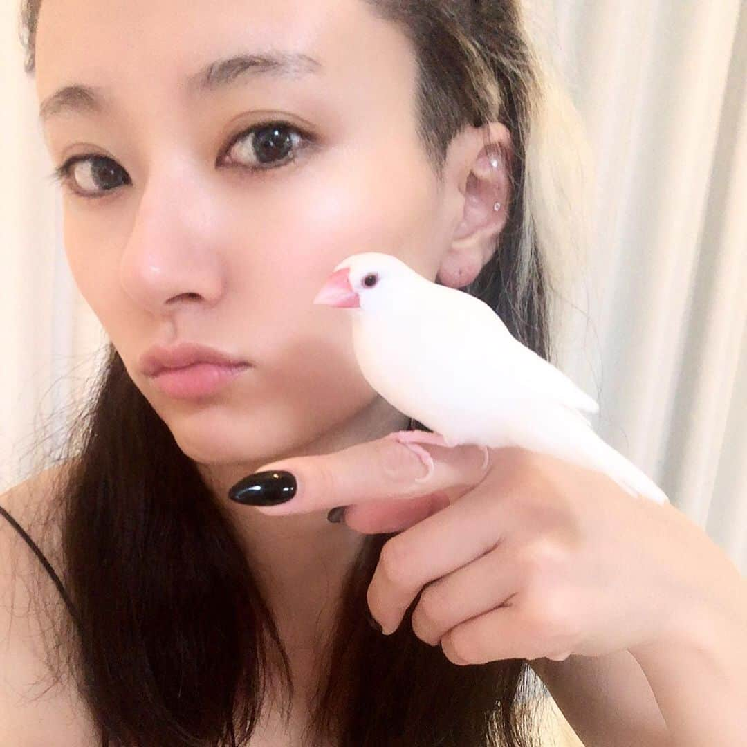 中川友里さんのインスタグラム写真 - (中川友里Instagram)「おでこ上げて結ぶとか絶対出来なかったのになあ、、金髪切れちゃうし🥺💫　#ナデル　使ってから髪復活したしアレンジの幅も広がって嬉しい🥺❤️🌹おもちさんとイチャらぶする日夜☺️🥰笑」10月28日 1時39分 - darayunya