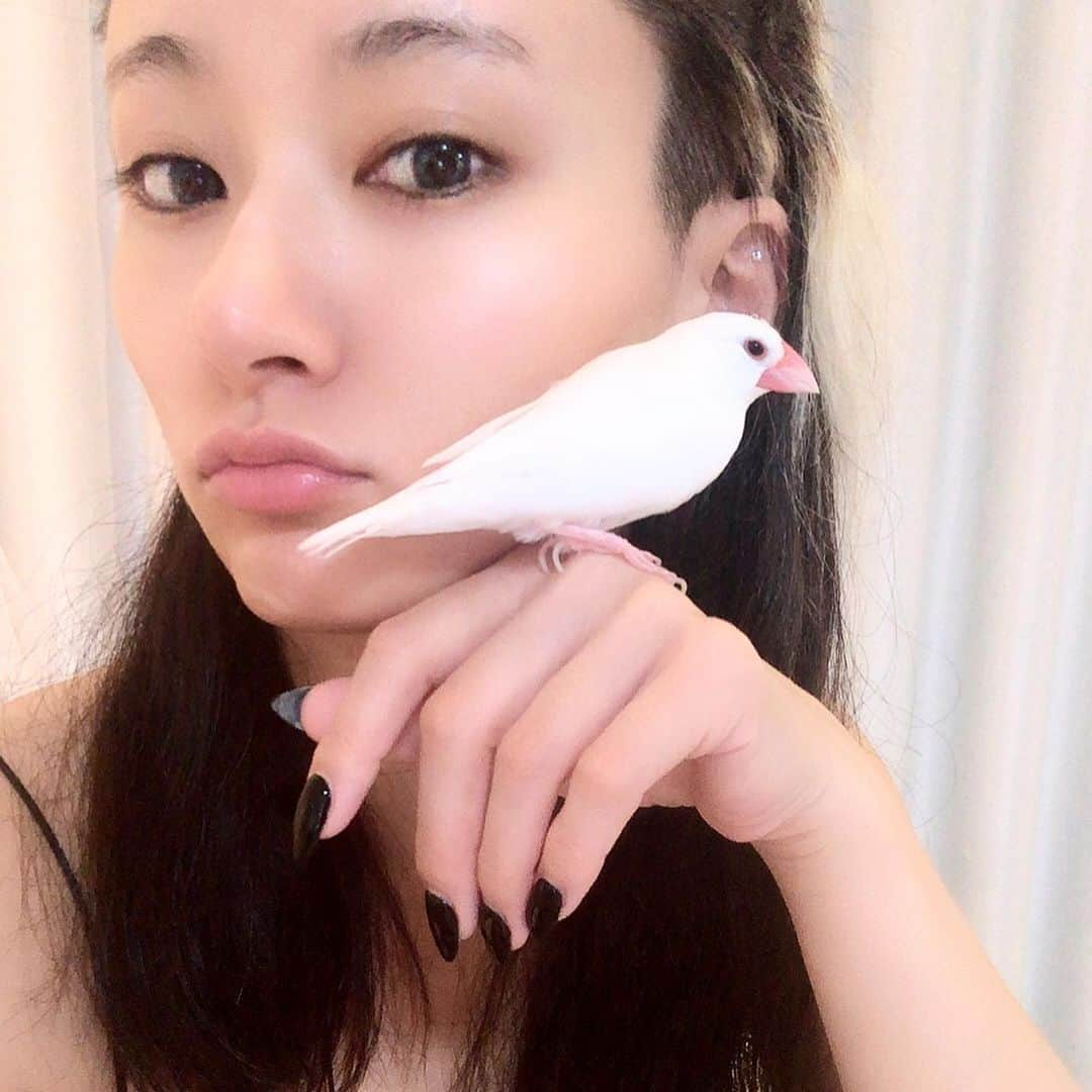 中川友里さんのインスタグラム写真 - (中川友里Instagram)「おでこ上げて結ぶとか絶対出来なかったのになあ、、金髪切れちゃうし🥺💫　#ナデル　使ってから髪復活したしアレンジの幅も広がって嬉しい🥺❤️🌹おもちさんとイチャらぶする日夜☺️🥰笑」10月28日 1時39分 - darayunya