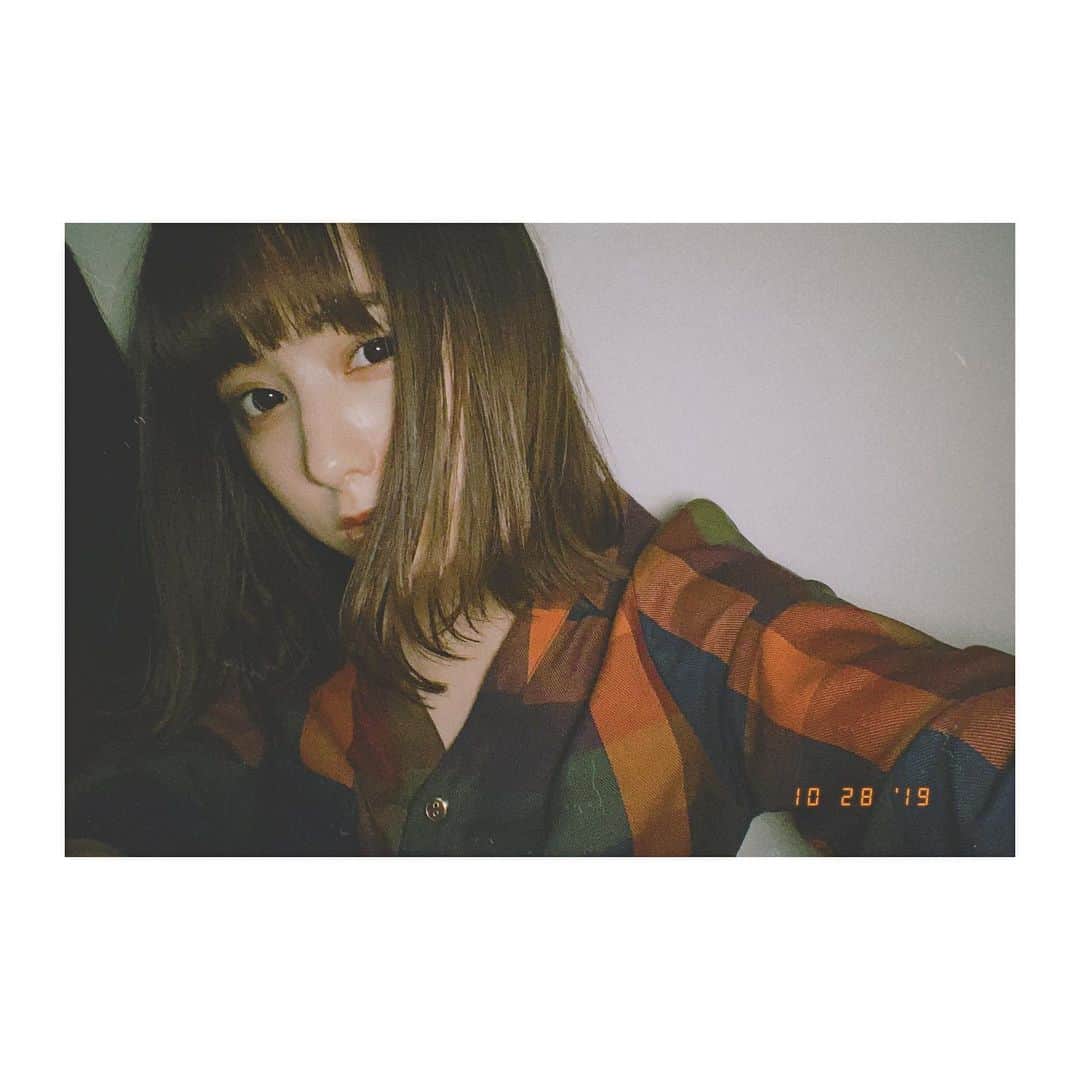 前田美里のインスタグラム：「おやすみなさい。 .  #gn #🐑#film #film_jp #redyazel #ファインダー越しの私の世界 #写真好きな人と繋がりたい #japanesegirl #instalike #follow #followｍe」