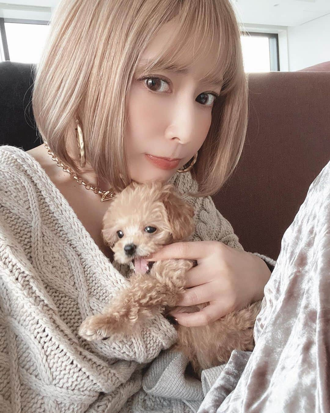 仲村美香さんのインスタグラム写真 - (仲村美香Instagram)「カジカジ🐾 歯が尖ってるから結構痛い。笑 甘噛みじゃ無い、笑 ・ ・ ・ Grammyと遊んでたら1日が あっという間に終わってしまう😂 今日はおトイレいっぱい成功したから いっぱい褒めてあげた💕 偉すぎるぞーーーー❤️ ぐらみーのインスタ出来たよ♡笑 @grammy.dog ・ ・ ・ ・  #dog#トイプードル#ティーカップトイプードル #犬#🐶#犬すたぐらむ #可愛すぎる#わんこ#わんこのいる生活 #poodle#ティーカッププードル#子犬#coordinate#ootd#outfit#fashion#blogger#japan#marque#marqueofficial#marqueimport#マルク#毎日コーデ#コーデ#ファッション」10月28日 2時17分 - mikapu0519