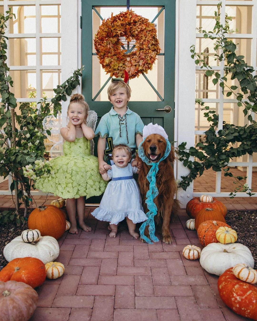 Amber Fillerup Clarkさんのインスタグラム写真 - (Amber Fillerup ClarkInstagram)「TINKERBELL, PETER PAN, WENDY, NANA, CAPTIAN HOOK, and THE CROCODILE 🐊 ✨🧚🏼‍♂️ I love Halloween!!!!! The kid’s costumes were custom made by @dolorispetunia — I just about died when I saw them! The kids are so excited to wear them to Disneyland this week! Swipe to see some videos 🥰」10月28日 2時20分 - amberfillerup