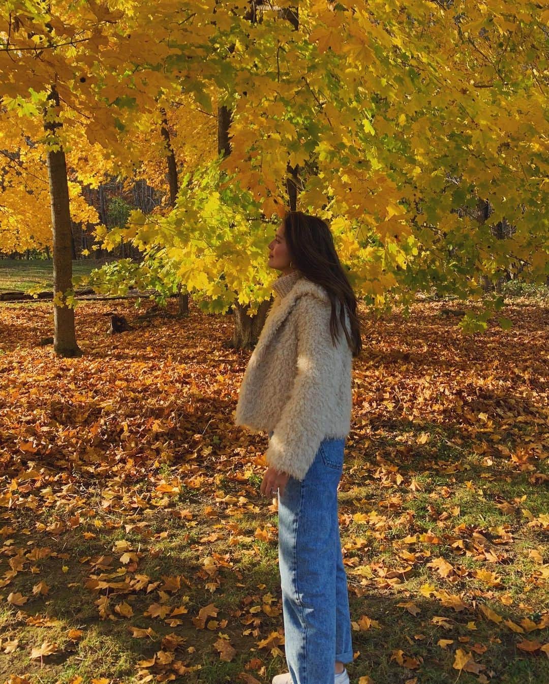 エミリー・DiDonatoさんのインスタグラム写真 - (エミリー・DiDonatoInstagram)「Cheers Vermont! I love you and your foliage! 🍁 🧀 🍁」10月28日 2時23分 - emilydidonato
