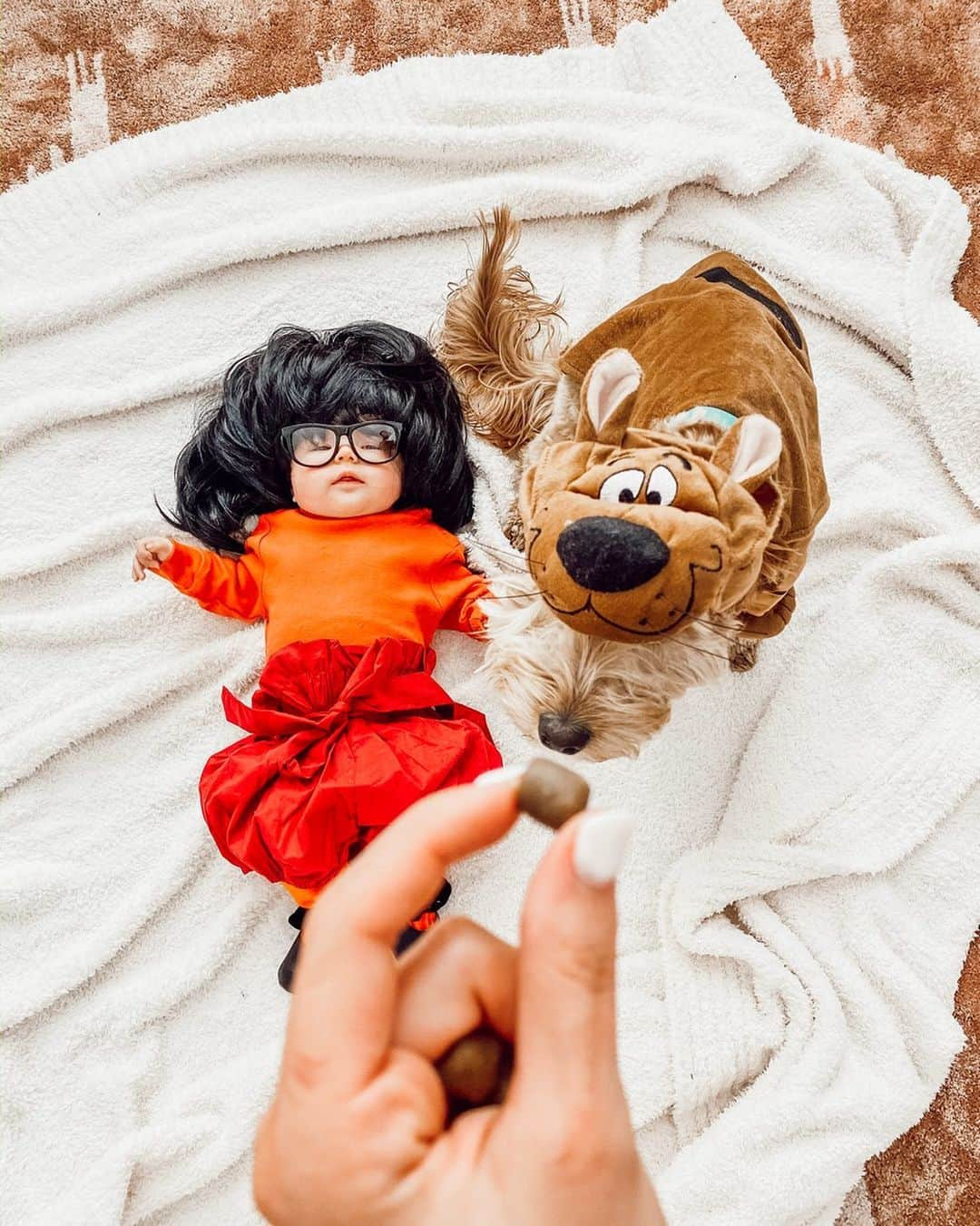 Aspyn Ovard Ferrisさんのインスタグラム写真 - (Aspyn Ovard FerrisInstagram)「Costume 2 was a little bit of a fail... Cove does not look like a baby Velma and Luma still wouldn’t participate in a nice photo even for a treat 🤪💕」10月28日 3時10分 - aspynovard