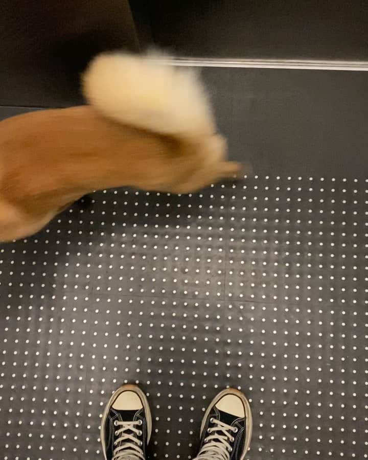稲木ジョージのインスタグラム：「I’m home😌」