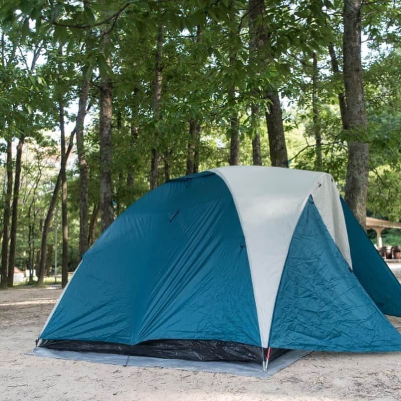 キャンプ情報サイト［ランタン］さんのインスタグラム写真 - (キャンプ情報サイト［ランタン］Instagram)「CAMP SMILE STYLE ／ 家族4人の笑顔が素敵！ テント生活や川遊びが キャンプの楽しみ！ ＼ いろんなキャンパーのキャンプスタイルを現地取材と一般キャンパーからの投稿で数多く掲載してます。 . . 詳しくは @lantern.camp  webサイトをご覧ください . . #camp #camping #outdoor #travel #trip #lantern_smile #nature #キャンプ #キャンプ用品 #アウトドア #テント #自然 #旅行 #キャンプ初心者  #キャンプ好きな人と繋がりたい #ファミリーキャンプ #ファミキャン #アウトドアチェア #スノーピーク #成田ゆめ牧場ファミリーオートキャンプ場」10月28日 17時56分 - lantern.camp