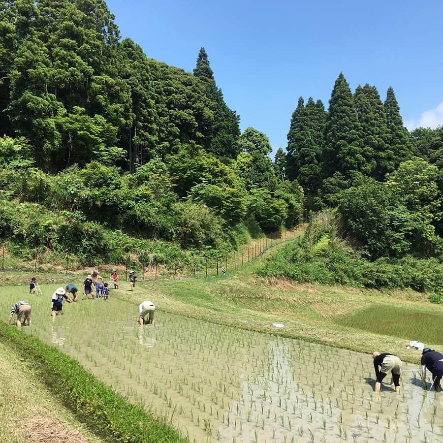 無印良品さんのインスタグラム写真 - (無印良品Instagram)「「無印良品 鴨川里山トラスト」2019年の活動 - 千葉県鴨川市にある、雨水だけで耕作する天水棚田。 高齢化にともない維持管理が困難になっていたこの棚田を、都市に住む人達と共に保全することで、自然環境・伝統的なくらしの文化・人と自然が調和した里山空間を、未来の世代へ手渡したい。 そんな想いから良品計画は、NPO法人うずと共同で2014年5月から田植え・田の草取り・稲刈りなどの農業体験イベントを行ってきました。2016年からは、棚田のみならず、里山全体の「時間と空間」を価値ある社会の共有財産として保全するため、「無印良品 鴨川里山トラスト」として活動の幅を広げています。 2019年度は、「田植え」（5月18日）、「田の草取りとお箸づくり」（6月8日）、「田の草取りとすがい縄づくり」（7月13日）、「稲刈り」（9月7日）とこれまでに4回のイベントを開催し、64名のお客さまが参加されました。 地道な作業を通して米作りの大変さと収穫の喜びを味わいながら、生き物に触れ、土の感触を肌で感じ、都市ではできない里山での体験を大人もこどもも楽しみました。 今後も「無印良品 鴨川里山トラスト」の活動が、日本の農業や食、そして里山に伝わる文化について考えるきっかけになればと考えています。 - 鴨川里山トラストのイベント情報はMUJI passport アプリを通じて配信していきますので、皆さまのご参加を心よりお待ちしています。 - #無印良品 #MUJI #鴨川里山トラスト」10月28日 17時00分 - muji_global