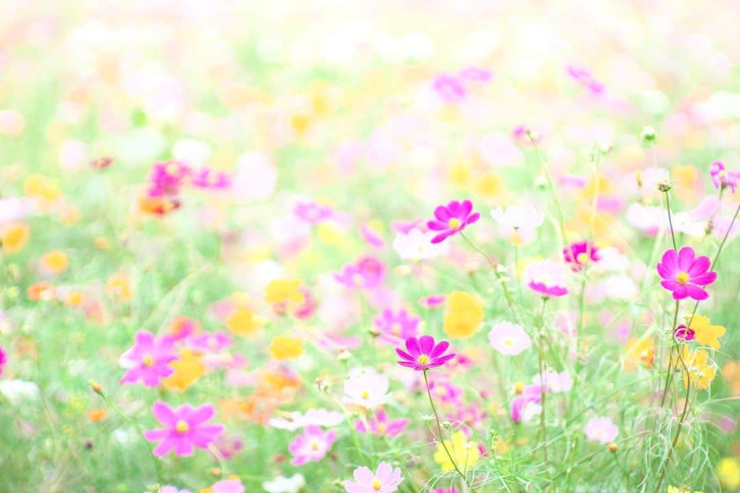 kiccyomuのグルメインスタ