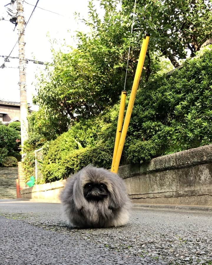 宮田和弥のインスタグラム