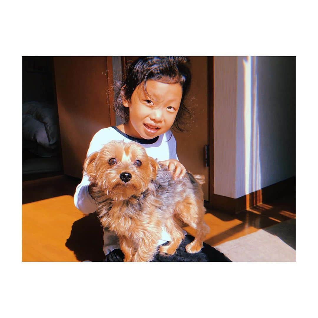 佐藤佳菜子さんのインスタグラム写真 - (佐藤佳菜子Instagram)「実家の犬のターボ11歳。父とふたりでポタポタ暮らし。とろつなに会えなくなった姪は、ターボ目当てで父宅を訪問。#じいさんよりも犬に会いたい」10月28日 9時18分 - kanakosato1019