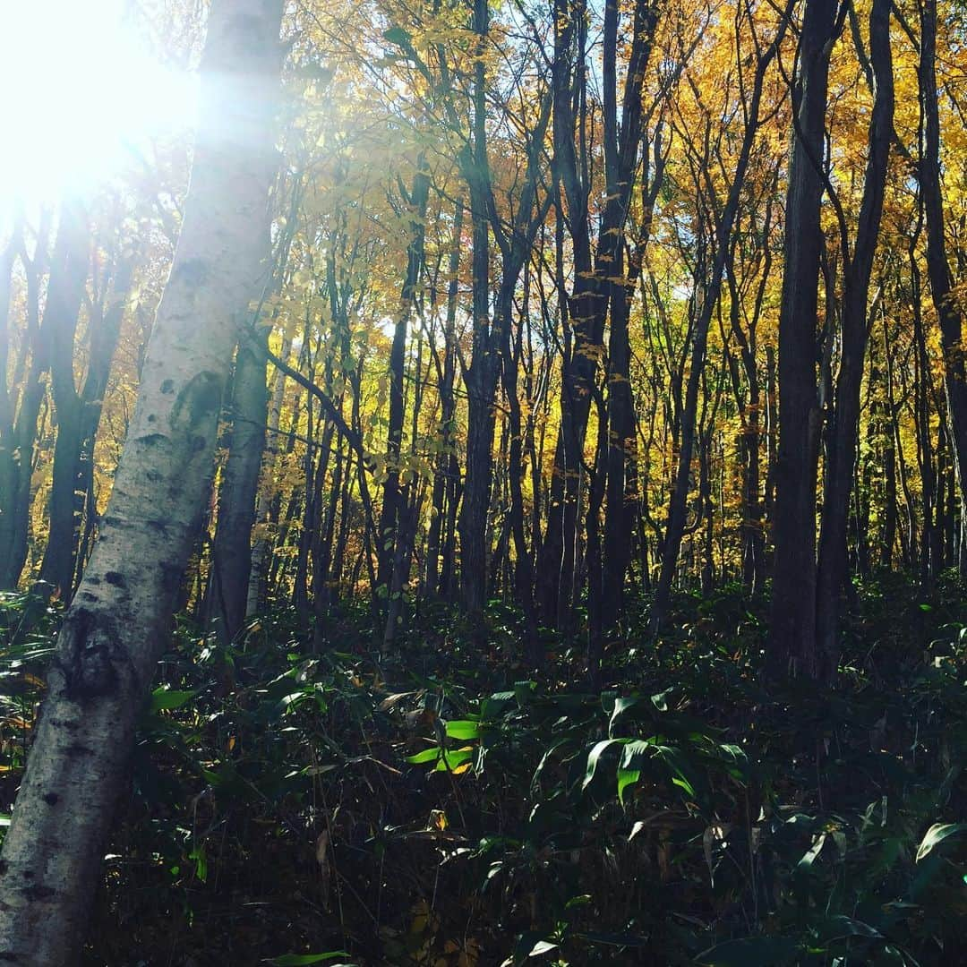 Man With A Missionさんのインスタグラム写真 - (Man With A MissionInstagram)「Trecking.  ロープウェイ10時半カラデ使エズ自力登山  #hokkaido #moiwamountain」10月28日 10時48分 - mwamofficial