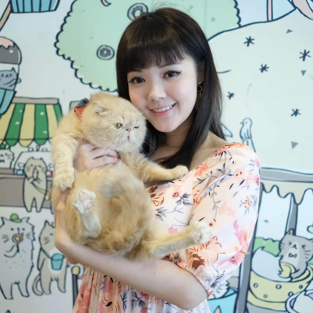 YingTzeさんのインスタグラム写真 - (YingTzeInstagram)「🌟 Caturday Cat Cafe 🌟 The place that I want to visit everytime I visit Bangkok, Thailand. This time photo with Tofu because this sweetie lay beside my table all the time ! _ Their cats are very well taken care of ~ all very relaxed around humanssss , chubby and fluffy ! 🐱 If you are a cat lover , it is a place you mist visit ! 📸 @kattokattiya  #blessed #catcafe #caturdaycatcafe #thaicats #persiancat #thailandtravel」10月28日 11時33分 - yingtze