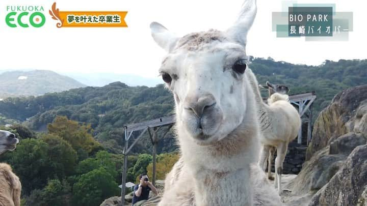 【公式】福岡ECO動物海洋専門学校のインスタグラム