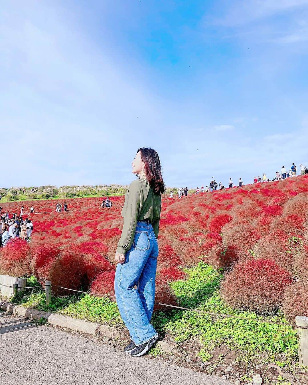 長嶺菜菜子さんのインスタグラム写真 - (長嶺菜菜子Instagram)「✈︎茨城観光  この色ってさ何色かね❓﻿ 赤ピンク❓﻿ 茶色❓﻿ ピンク紫❓﻿ ﻿ ﻿ 【コキア 色】ってネットで調べても出てこないぞ﻿ ﻿ ﻿ ﻿ これは﻿ コキア色にするしかないね🍁🍄﻿ ﻿ ﻿ ちなみに﻿ コキアは植物よ🌳﻿ 花ではなくて植物🌳﻿ ﻿ ﻿ 別名は﻿ ホウキグサ﻿ ﻿ ﻿ 箒🧹に似てるからなんだって﻿ フォロワーさんが教えてくれた😙🙌﻿ ﻿ ﻿ ﻿ ★------------------------------------------------☆﻿ #沖縄人 #うちなんちゅ﻿ #ちびーず家族 #チビ族﻿ #家族旅行 #家族女子旅﻿ #茨城県 #茨城県観光﻿ #ひたち #ひたち海浜公園 ﻿ #コキア #旅なな」10月28日 18時02分 - na7co0422