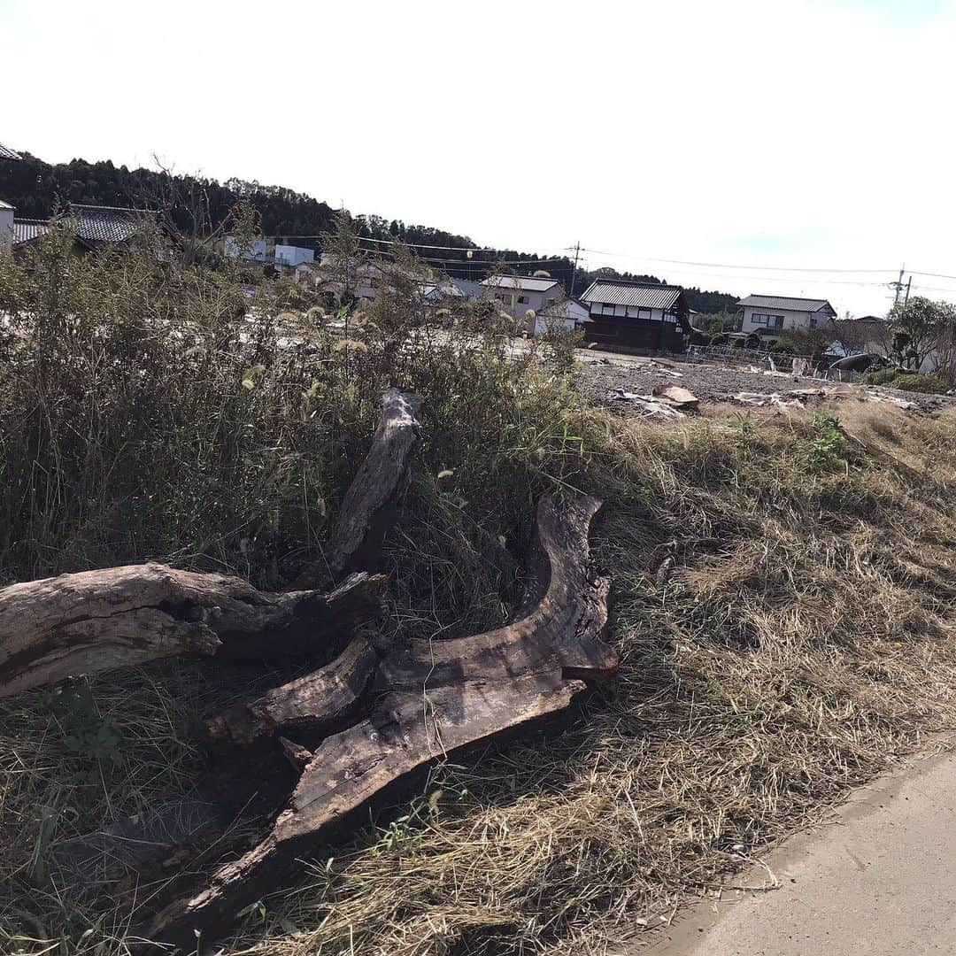 七海ひろきさんのインスタグラム写真 - (七海ひろきInstagram)「☆ 茨城県水戸市内原町出身の七海ひろきです。台風第19号で被災された方々、心よりお見舞い申し上げます。 . 台風による災害の映像を見た時、私にも何か出来る事はないかと思い、ボランティアに参加する為、茨城県水戸市に向かいました。 私が今回行った、那珂川の氾濫によりお家やお店が水に浸かってしまった地域では、一階部分は全て浸水して日常生活が困難な状態でした。大切な思い出の品が流されてしまった現状を目の当たりにし、胸が痛くなりました。 . この日は、ボランティアの依頼があったお宅の、畑に流れてきた物を回収する作業をお手伝いしてきたのですが、4人がかりでも大変で、もし、これを1人でやるとなったら心が折れそうになると思います。。。 . 被災地の現状は、続いていて、まだまだ人手が足りない地域もあります(特に平日) 少しでも、皆様のお力添えをお願いします。ボランティアの情報は、私のホームページのお知らせにまとめてあります。 そして、ボランティア以外でも、私に何か出来ることがないかスタッフ含め検討しているので、何か決まりましたらお知らせします。」10月28日 12時46分 - hirokinanami773