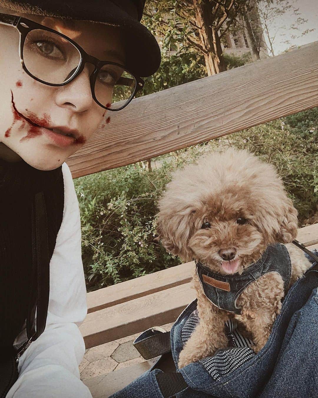 のインスタグラム：「ロルと一緒に Happy Halloween 🎃✨ わんちゃんの顔にも認識して ゾンビメイクになったら可愛いのにな🧟‍♀️🧟‍♂️ 今年も残り僅かだなとしみじみ…  #happyhalloween #halloween #ハロウィン　#dogstagram #toypoodle #dog #zombie #ロルスタグラム」