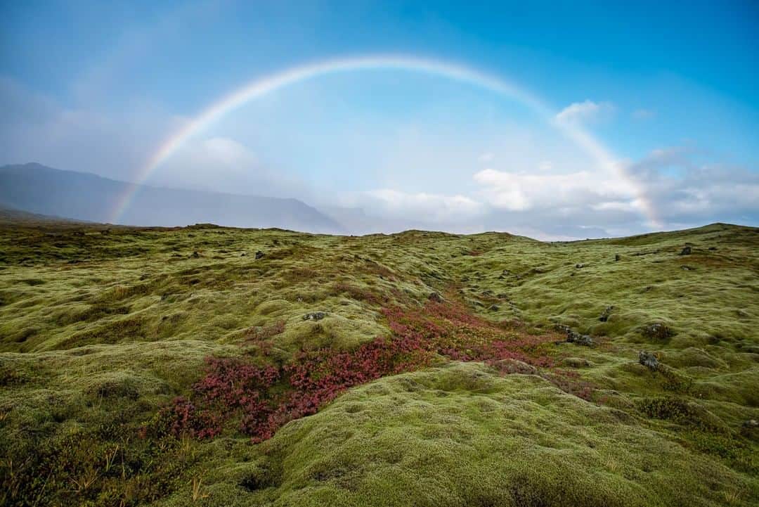 National Geographic Travelさんのインスタグラム写真 - (National Geographic TravelInstagram)「Photo by @kiliiiyuyan | A double rainbow appears suddenly after a rain shower in western Iceland. In October the colors of the tundra change as the bilberry ground cover plants change to red and the mosses green with the rainfall. Follow me @kiliiiyuyan for more from the Arctic and beyond. #rainbow #arctic #iceland」10月28日 13時09分 - natgeotravel