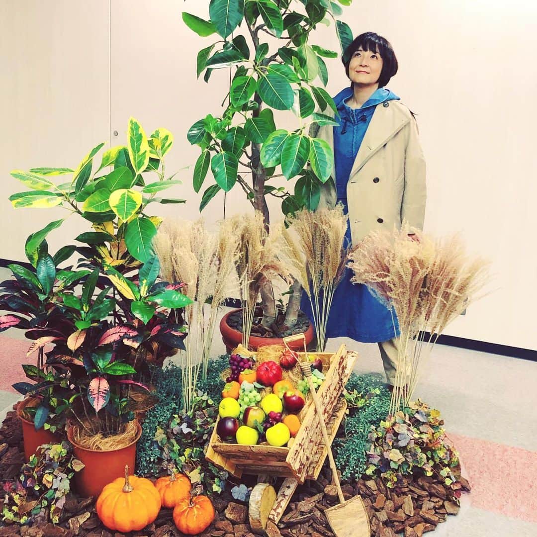藤田朋子さんのインスタグラム写真 - (藤田朋子Instagram)「#どこも #ハロウィン #南瓜 #かぼちゃ #カボチャ 🎃🎃🎃🎃🎃🎃」10月28日 14時17分 - chiendormant