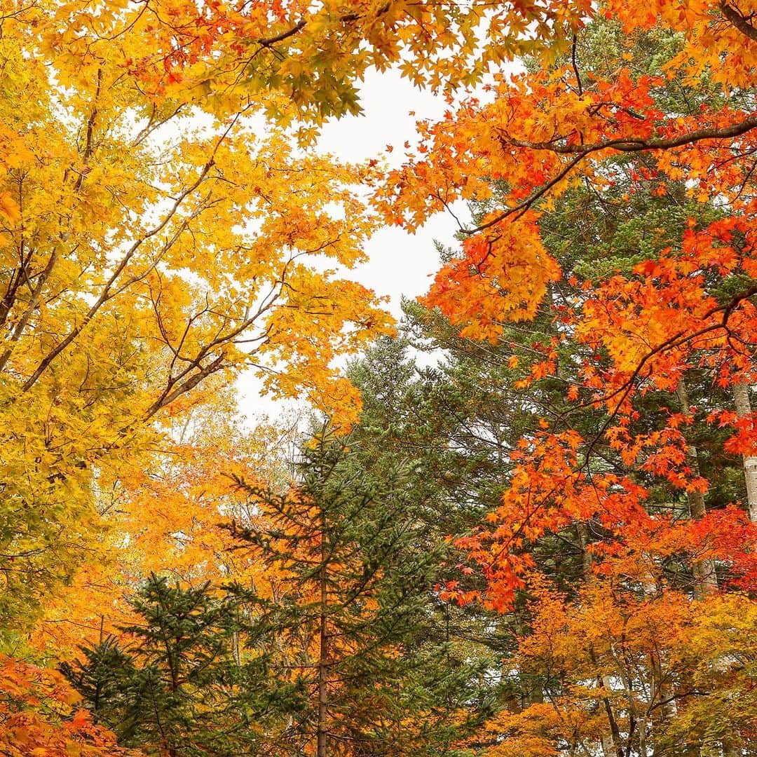 KEINA HIGASHIDEのグルメインスタ