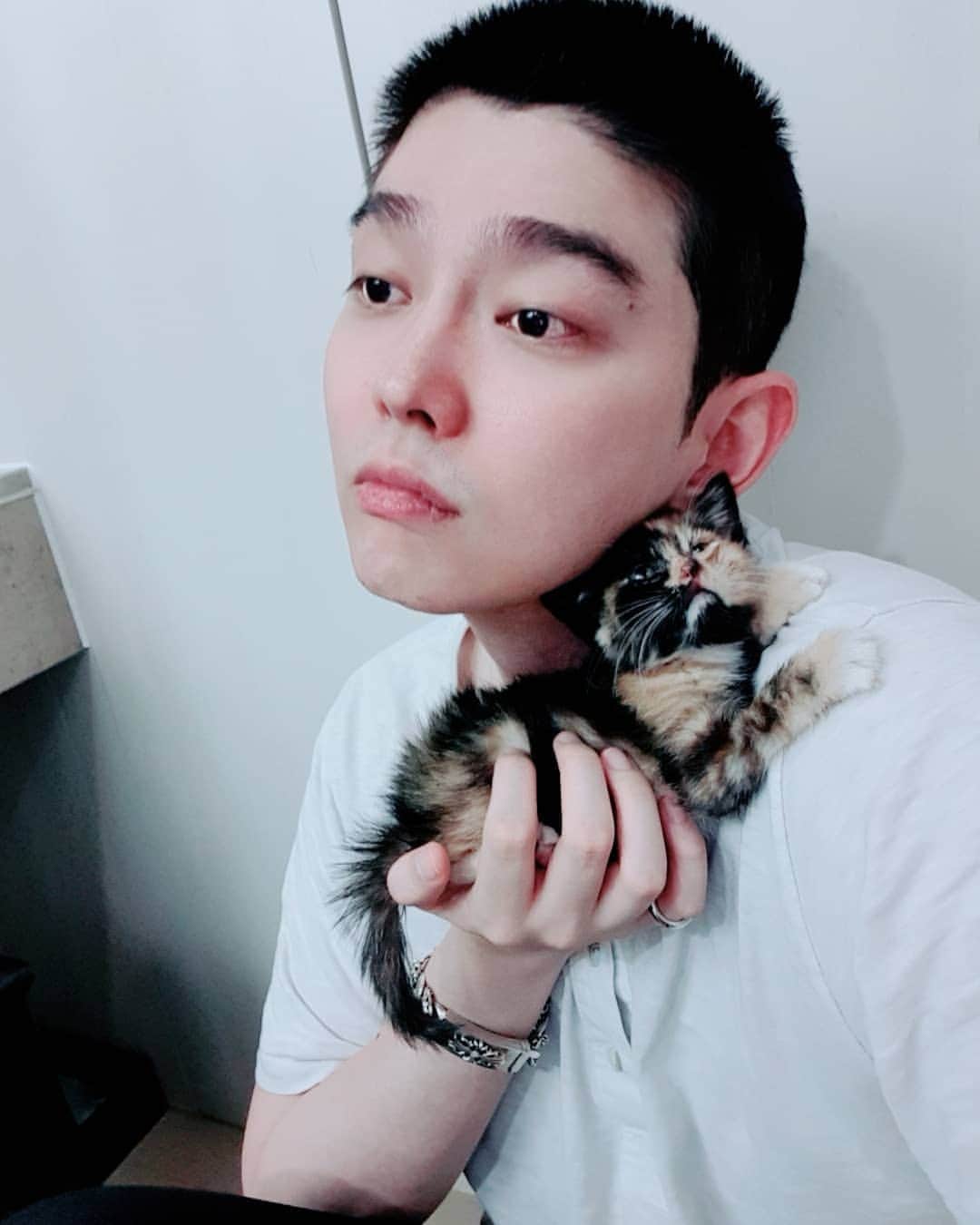 ユン・ギュンサンのインスタグラム：「#융귱상  새로운식구 #반이 반해서 반 쿵똠몽 반반반 버무린색이라 반 막내딸 반이 입니다. #한국동물구조관리협회  에서 데려온 2개월 추정되는 애기구요. 데려온지 이주정도 되었네요. 솜이가 가구 몽이가 너무심심해하고 외로워하던차에  #포인핸드 를 통해서 반이를 봤고 솜이한테 쿵똠몽이 색을 입힌거같은 반이를 보고 가족으로 받아들이게 되었습니다. 건강하게 잘 키우겠습니다. 🐱+🥰=🐷❤💋」