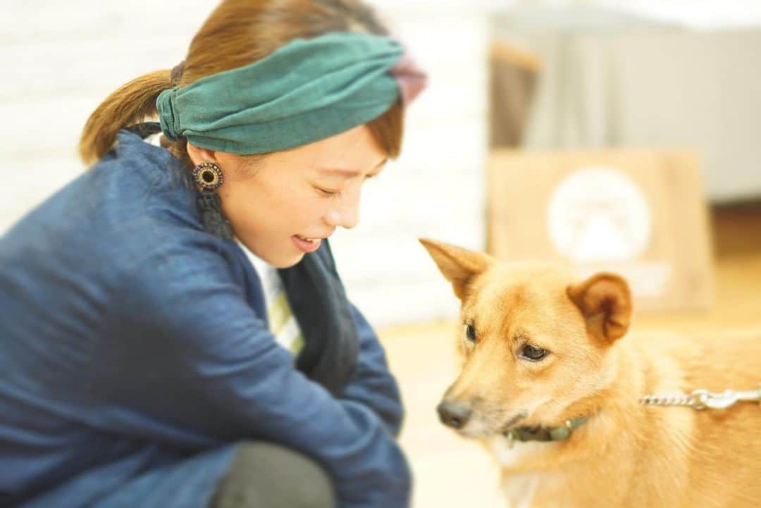 甲斐麻美さんのインスタグラム写真 - (甲斐麻美Instagram)「いぬが 好き なんだなぁ  #いぬとわたし #いぬ #犬 #保護犬 #里親になろう #保護犬を家族に #雑種は美しい #大切ないのち」10月28日 14時58分 - kaico_asami