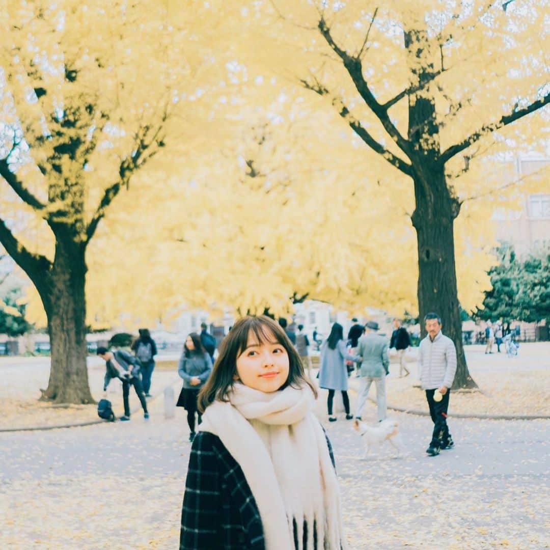 黒口那津のインスタグラム：「そろそろ紅葉🍁🍁 先日絶景すぎる紅葉を見たんだけど神聖な場所で写真撮ることができなかったんだ〜😭みんなに見て欲しかったな〜、、東京大学の紅葉も綺麗だった！！写真は去年の！髪伸びたな〜☺️」