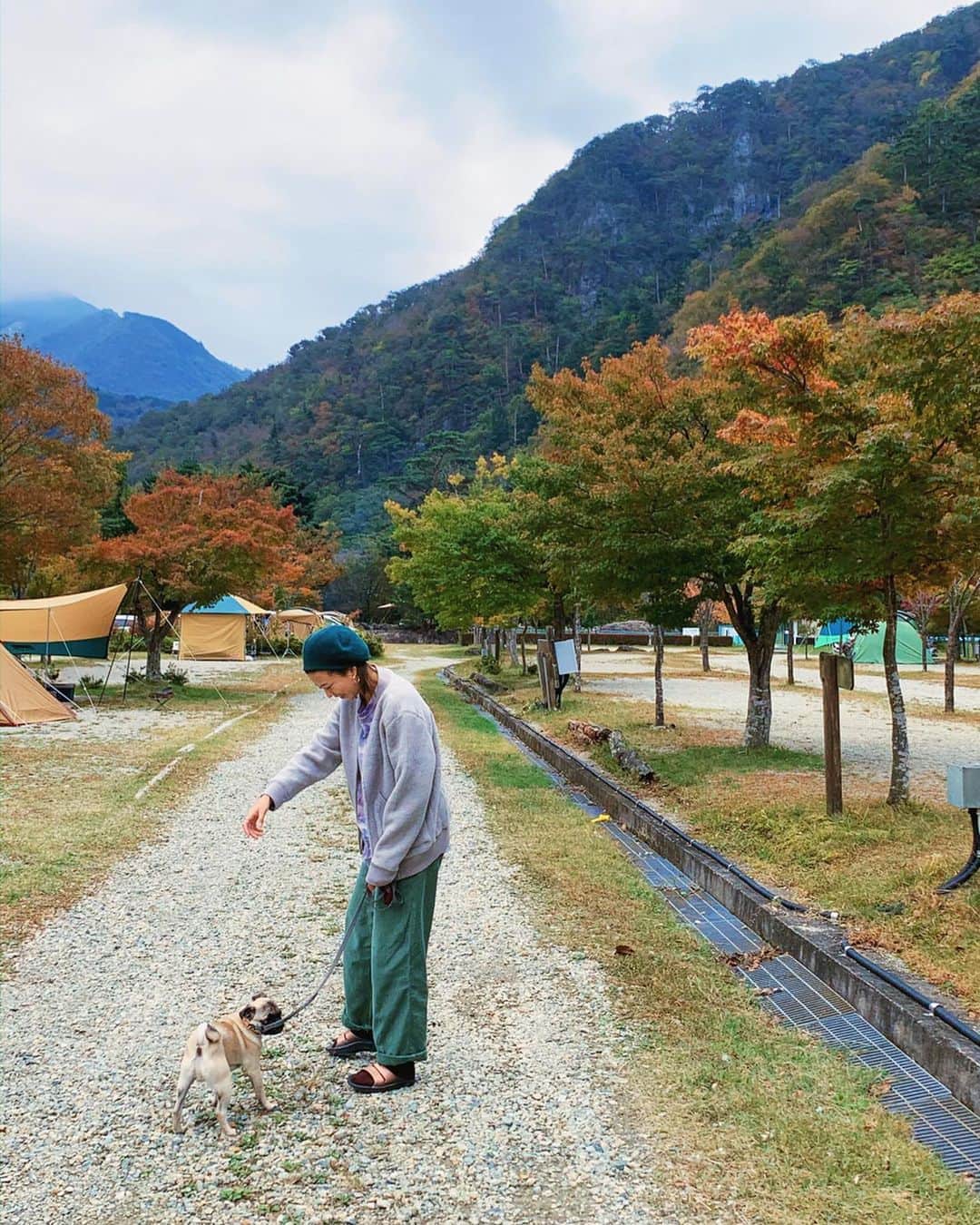 吉田夏海さんのインスタグラム写真 - (吉田夏海Instagram)「秋CAMP🍁 . #camp #snowpeak  #dog #chillout」10月28日 15時36分 - natsumiiiiiiiiiii