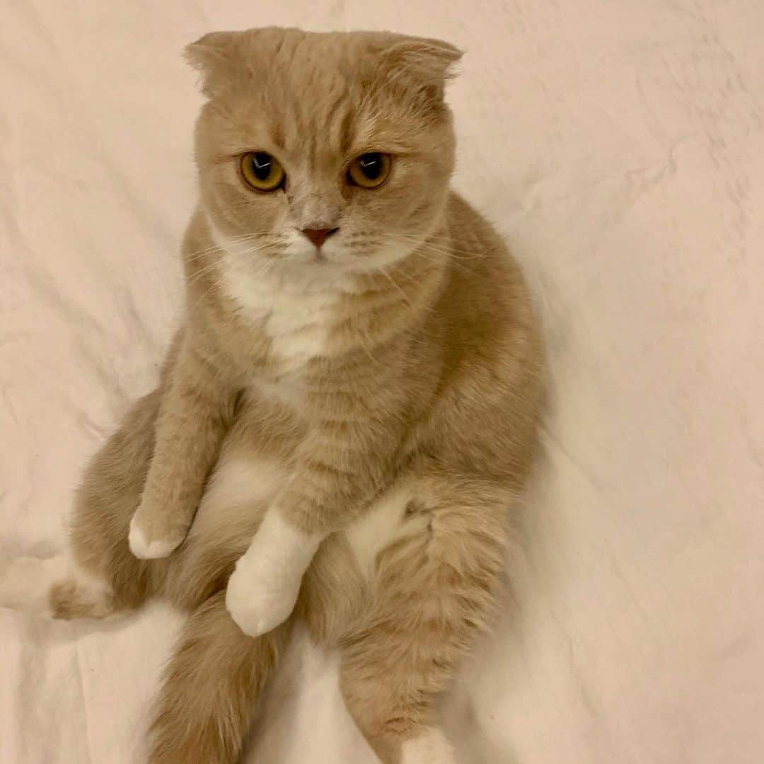 チャン・チュンニンのインスタグラム：「Lily小朋友」