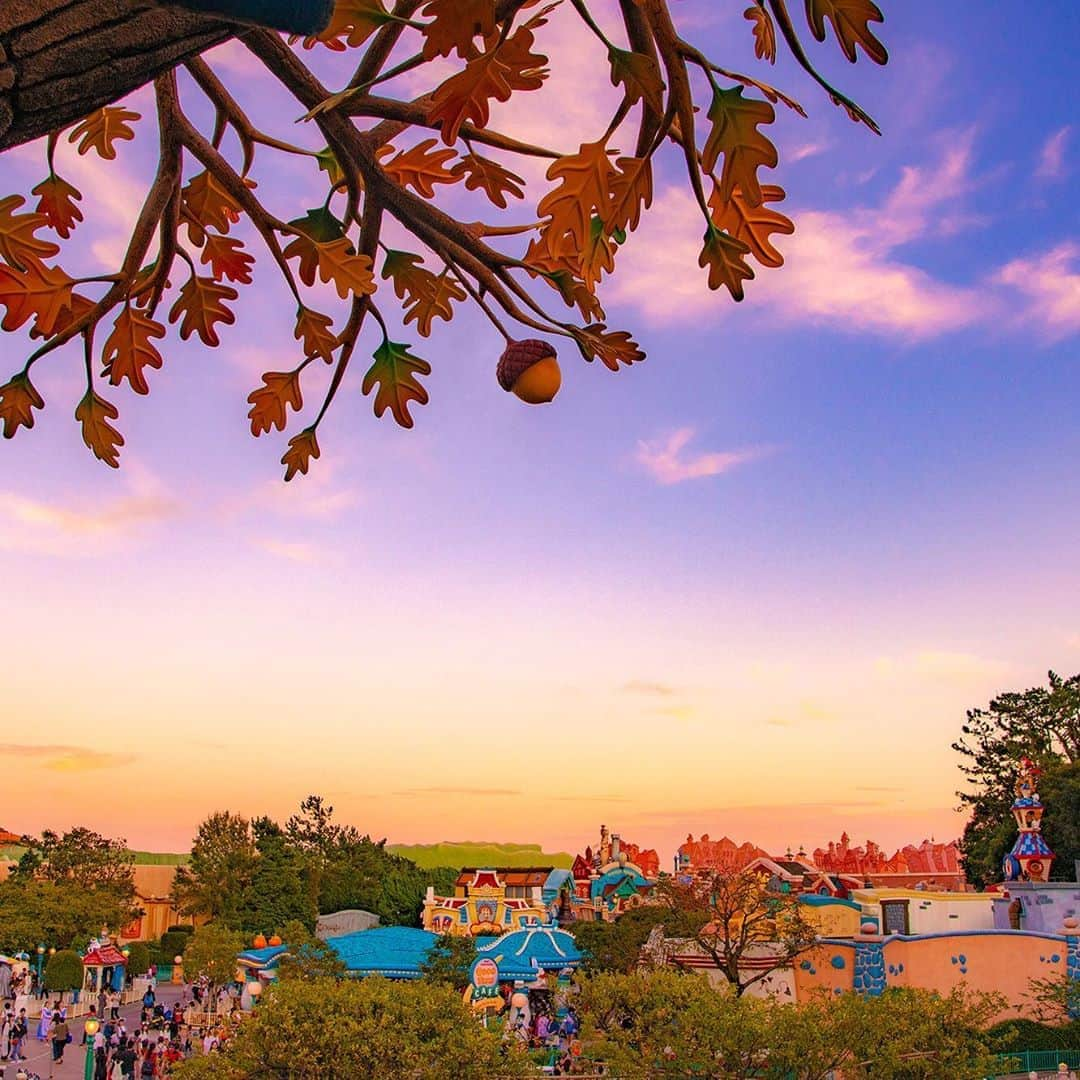 東京ディズニーリゾートのインスタグラム