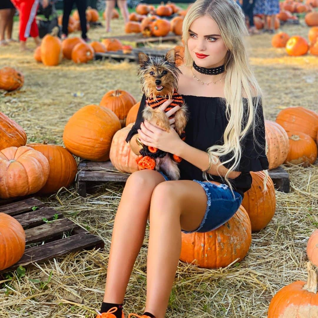 Mia Diazさんのインスタグラム写真 - (Mia DiazInstagram)「Picked the Cutest Pumpkin in the Patch!” “Lola” 🎃🎃 🍁🍂🍁 #miadiaz #pumpkinpatch #yorkie #yorkiesofinstagram #yorkiesofficial #pumpkin #pumpkinpicking #halloween #pumpkinseason #lolatheyorkie #fallinmiami #autumninmiami #onlyindade」10月29日 3時03分 - miadiaz