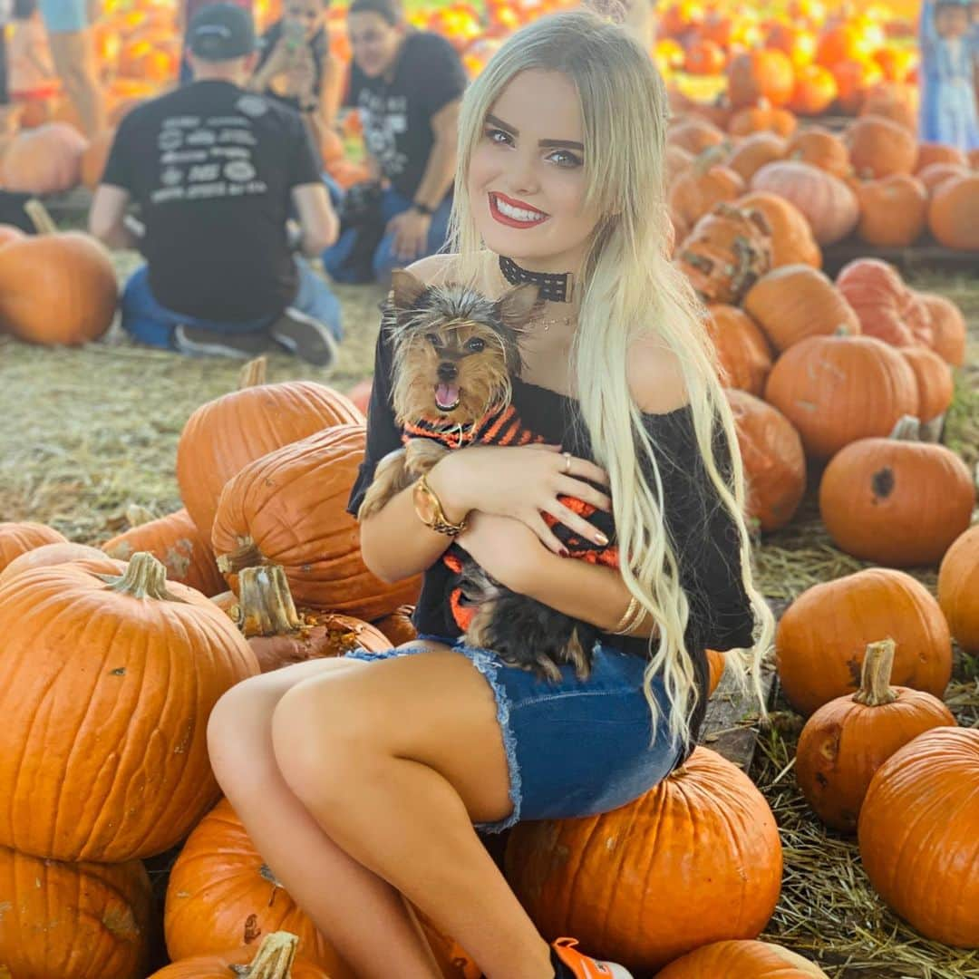 Mia Diazさんのインスタグラム写真 - (Mia DiazInstagram)「Picked the Cutest Pumpkin in the Patch!” “Lola” 🎃🎃 🍁🍂🍁 #miadiaz #pumpkinpatch #yorkie #yorkiesofinstagram #yorkiesofficial #pumpkin #pumpkinpicking #halloween #pumpkinseason #lolatheyorkie #fallinmiami #autumninmiami #onlyindade」10月29日 3時03分 - miadiaz