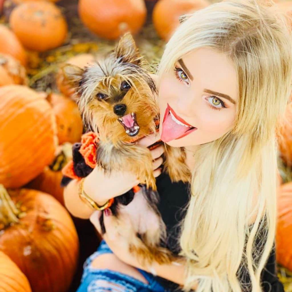 Mia Diazさんのインスタグラム写真 - (Mia DiazInstagram)「Picked the Cutest Pumpkin in the Patch!” “Lola” 🎃🎃 🍁🍂🍁 #miadiaz #pumpkinpatch #yorkie #yorkiesofinstagram #yorkiesofficial #pumpkin #pumpkinpicking #halloween #pumpkinseason #lolatheyorkie #fallinmiami #autumninmiami #onlyindade」10月29日 3時03分 - miadiaz