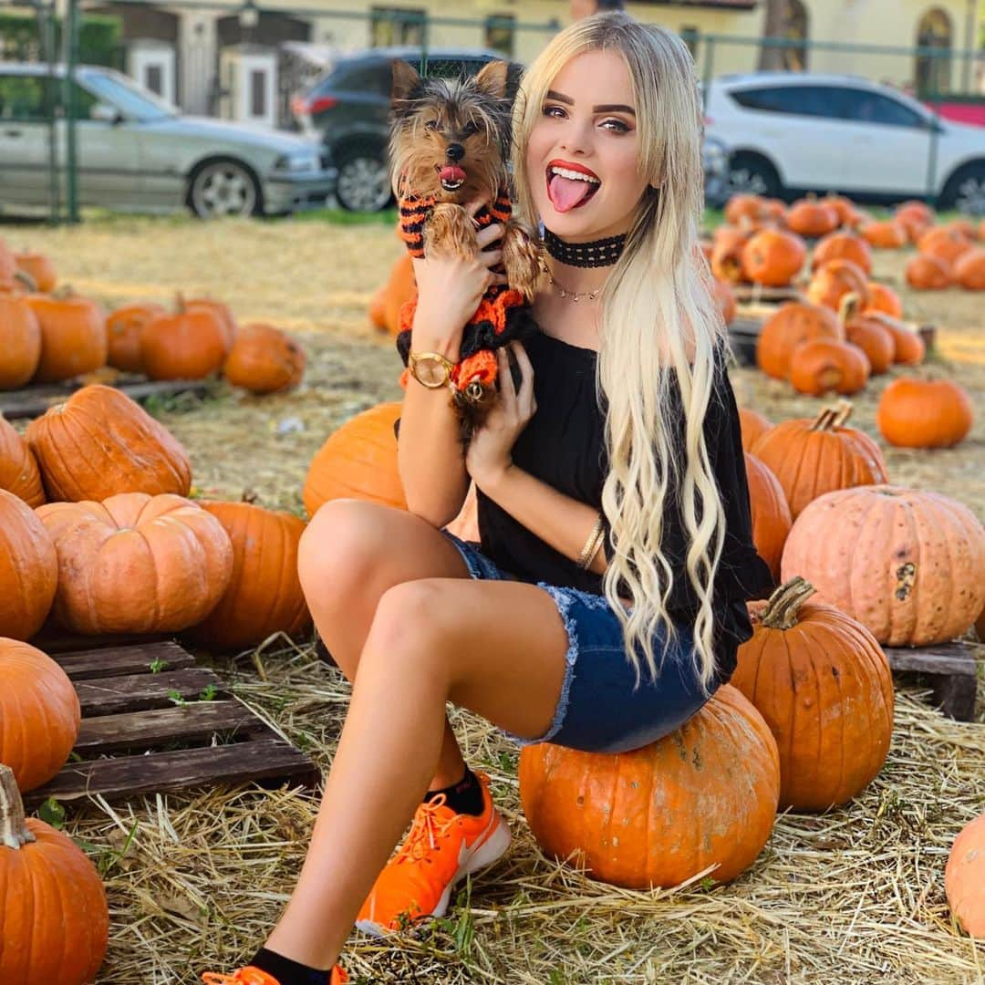 Mia Diazさんのインスタグラム写真 - (Mia DiazInstagram)「Picked the Cutest Pumpkin in the Patch!” “Lola” 🎃🎃 🍁🍂🍁 #miadiaz #pumpkinpatch #yorkie #yorkiesofinstagram #yorkiesofficial #pumpkin #pumpkinpicking #halloween #pumpkinseason #lolatheyorkie #fallinmiami #autumninmiami #onlyindade」10月29日 3時03分 - miadiaz