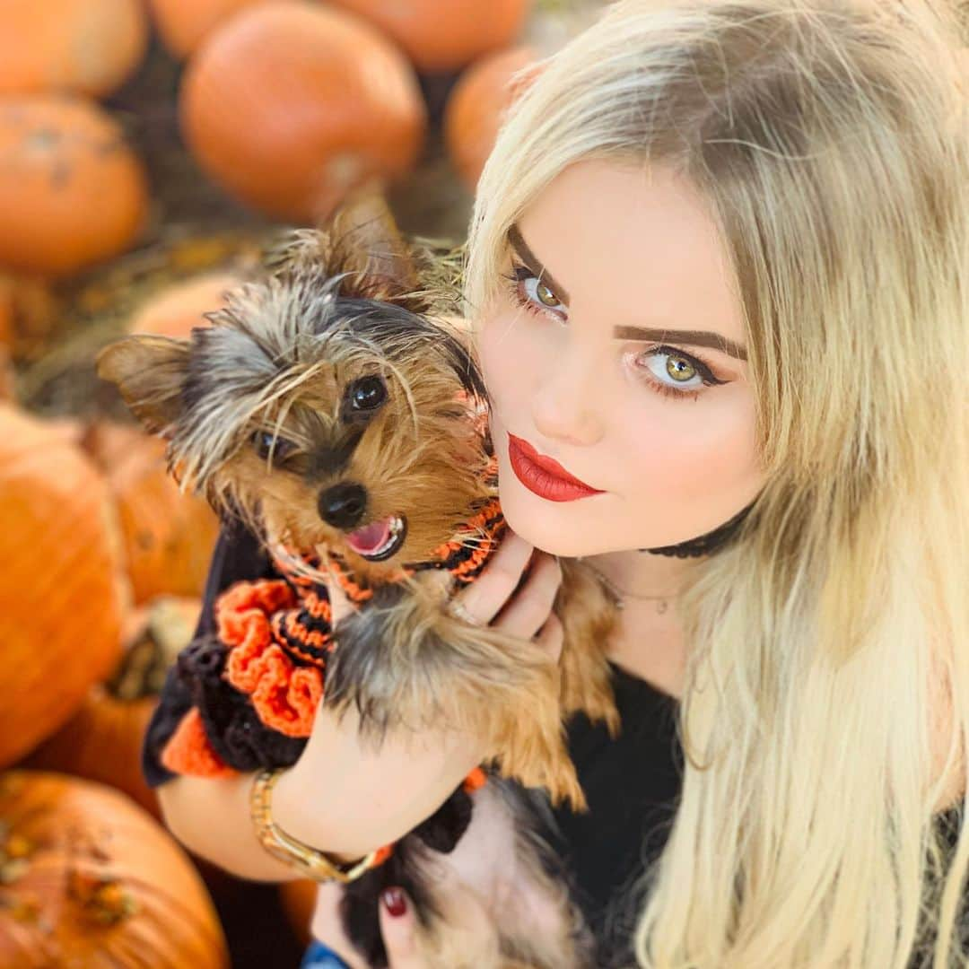 Mia Diazさんのインスタグラム写真 - (Mia DiazInstagram)「Picked the Cutest Pumpkin in the Patch!” “Lola” 🎃🎃 🍁🍂🍁 #miadiaz #pumpkinpatch #yorkie #yorkiesofinstagram #yorkiesofficial #pumpkin #pumpkinpicking #halloween #pumpkinseason #lolatheyorkie #fallinmiami #autumninmiami #onlyindade」10月29日 3時03分 - miadiaz