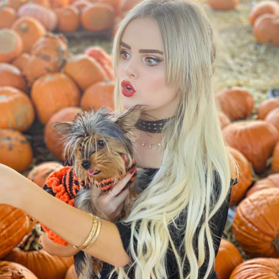 Mia Diazさんのインスタグラム写真 - (Mia DiazInstagram)「Picked the Cutest Pumpkin in the Patch!” “Lola” 🎃🎃 🍁🍂🍁 #miadiaz #pumpkinpatch #yorkie #yorkiesofinstagram #yorkiesofficial #pumpkin #pumpkinpicking #halloween #pumpkinseason #lolatheyorkie #fallinmiami #autumninmiami #onlyindade」10月29日 3時03分 - miadiaz