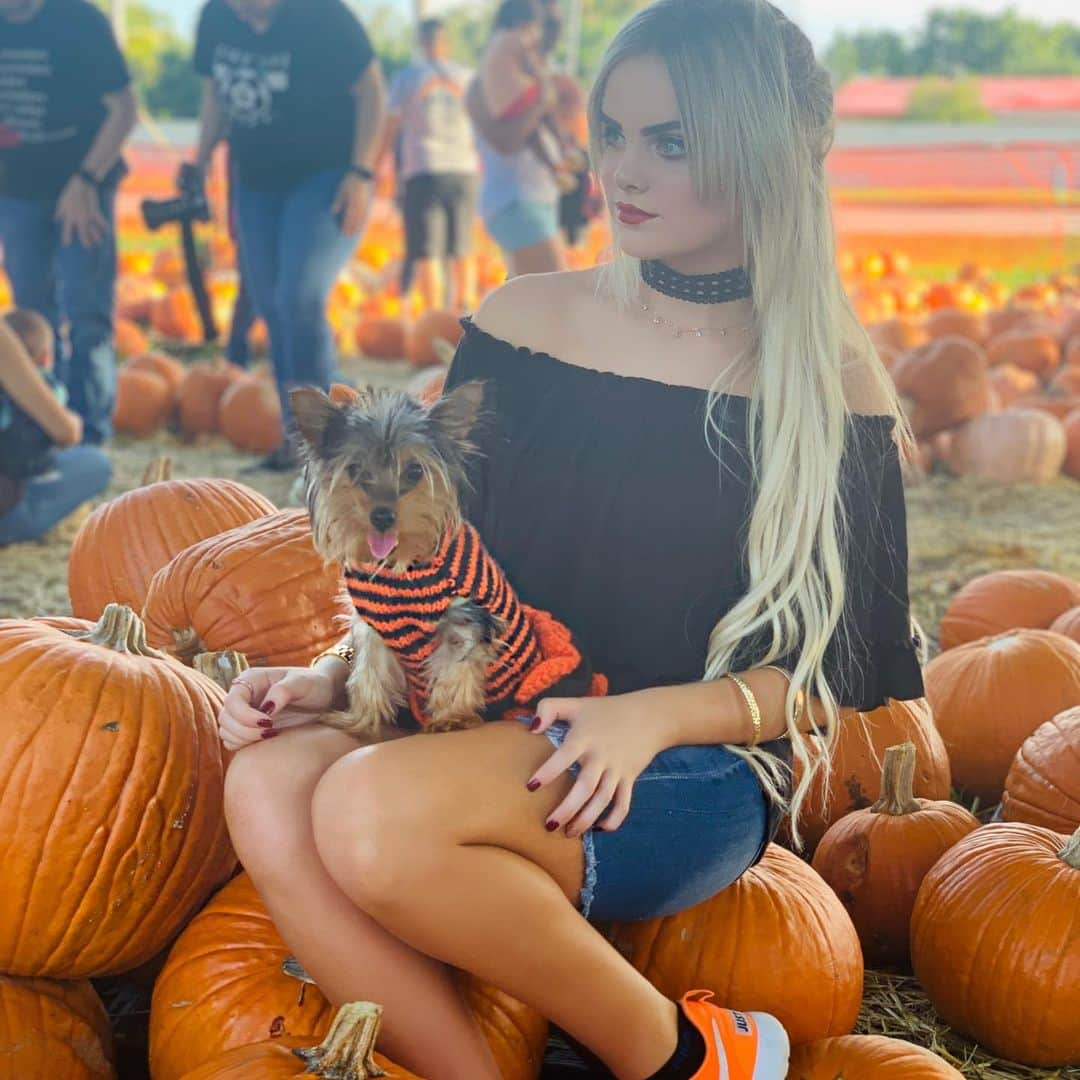 Mia Diazさんのインスタグラム写真 - (Mia DiazInstagram)「Picked the Cutest Pumpkin in the Patch!” “Lola” 🎃🎃 🍁🍂🍁 #miadiaz #pumpkinpatch #yorkie #yorkiesofinstagram #yorkiesofficial #pumpkin #pumpkinpicking #halloween #pumpkinseason #lolatheyorkie #fallinmiami #autumninmiami #onlyindade」10月29日 3時03分 - miadiaz