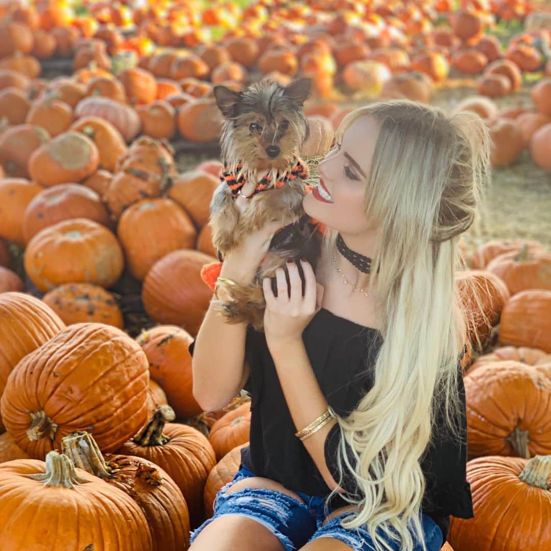Mia Diazさんのインスタグラム写真 - (Mia DiazInstagram)「Picked the Cutest Pumpkin in the Patch!” “Lola” 🎃🎃 🍁🍂🍁 #miadiaz #pumpkinpatch #yorkie #yorkiesofinstagram #yorkiesofficial #pumpkin #pumpkinpicking #halloween #pumpkinseason #lolatheyorkie #fallinmiami #autumninmiami #onlyindade」10月29日 3時03分 - miadiaz