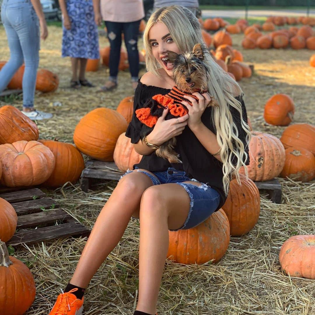 Mia Diazさんのインスタグラム写真 - (Mia DiazInstagram)「Picked the Cutest Pumpkin in the Patch!” “Lola” 🎃🎃 🍁🍂🍁 #miadiaz #pumpkinpatch #yorkie #yorkiesofinstagram #yorkiesofficial #pumpkin #pumpkinpicking #halloween #pumpkinseason #lolatheyorkie #fallinmiami #autumninmiami #onlyindade」10月29日 3時03分 - miadiaz