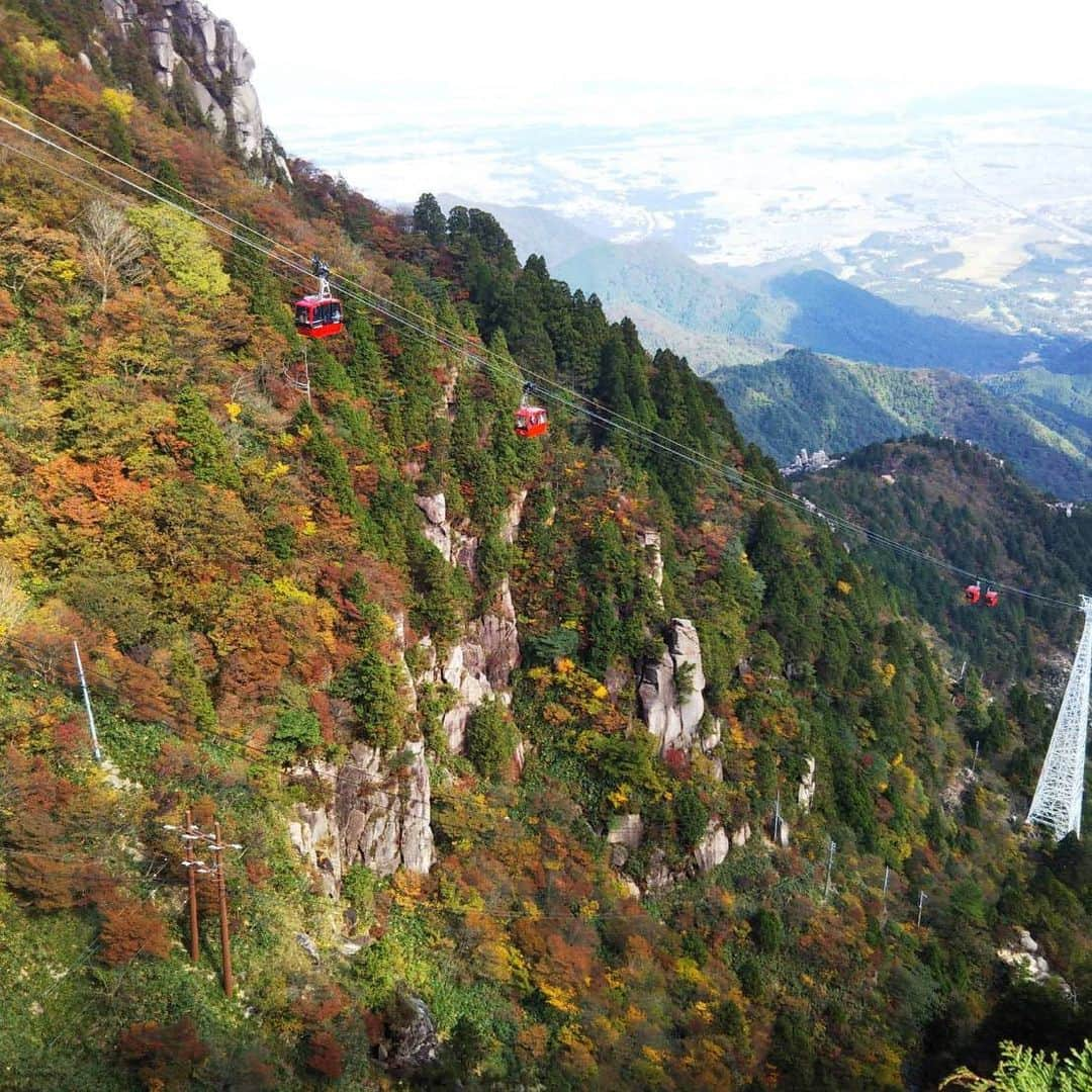 湯の山温泉 寿亭|Ryokan KOTOBUKITEIさんのインスタグラム写真 - (湯の山温泉 寿亭|Ryokan KOTOBUKITEIInstagram)「. 2019.10.28 #御在所岳　#山上公園　辺りの #紅葉　🍁が見頃を迎えております‼️ #御在所ロープウェイ に乗りながら 紅葉を楽しんで頂けます^ ^ . #湯の山温泉 街まではあと少し…🥰. . #寿亭 では#日帰り#入浴 も 営業しております♫(11:30〜15:00) . 冷えた身体をぽっかぽかに♨️ .  #三重#温泉#温泉好き#温泉旅行#旅行#温泉旅館#三重旅#三重旅行#女子旅#インスタ映え#旅館寿亭 #mie#japan#yunoyamaonsen#onsen#ryokan#ryokanlife#visitmie」10月28日 18時27分 - kotobukitei_ryokan