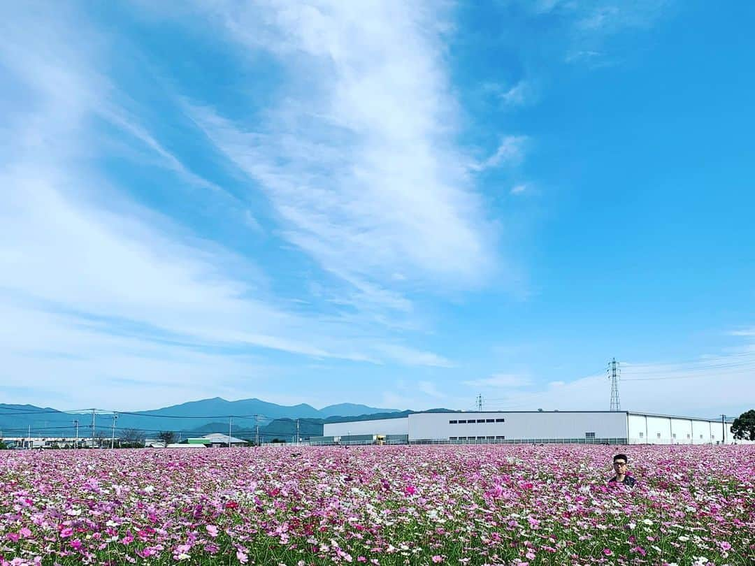 阿部浩貴さんのインスタグラム写真 - (阿部浩貴Instagram)「福岡の太刀洗。 太刀洗平和記念館を見学。 キリンビール工場のコスモスが綺麗でした。 #アップダウン #阿部浩貴  #竹森巧  #大刀洗平和記念館  #コスモス  #コスモス畑  #桜の下で君と #竹森を探せ」10月28日 19時07分 - updown_abe