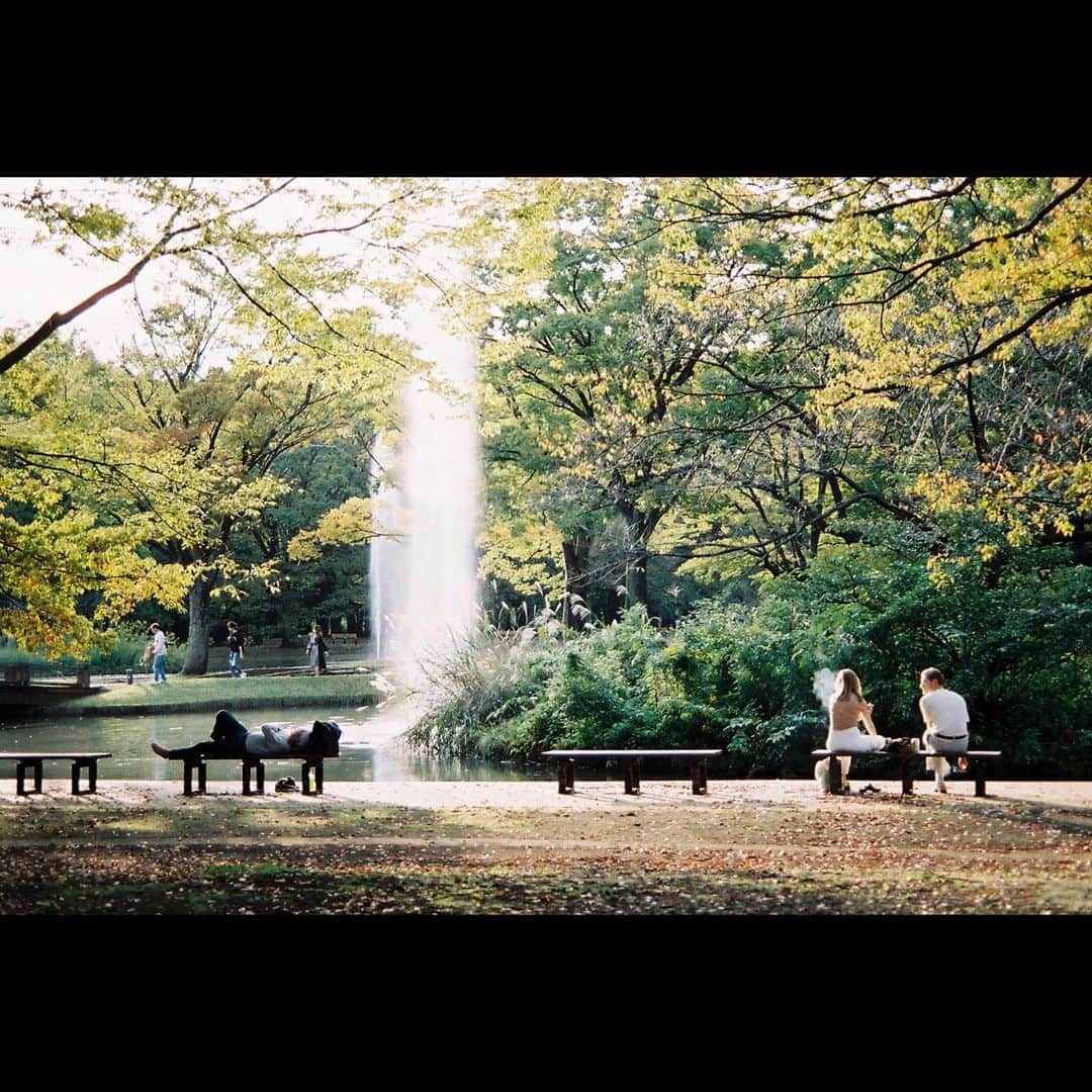 長谷川大のインスタグラム：「先日久々に写真撮りに行きました。  #フィルム写真 #フィルムカメラ #filmcamera  #スナップ写真  #nikonf2」