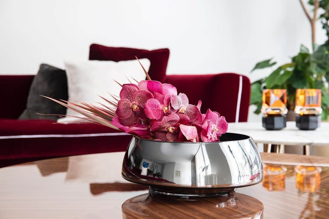 Cassina ixc. (カッシーナ・イクスシー) さんのインスタグラム写真 - (Cassina ixc. (カッシーナ・イクスシー) Instagram)「深紅のベルベットをまとった〈DRESS UP!（ドレスアップ）〉ソファにピンク色のバンダの花を合わせました。花言葉は「優雅」「上品な美しさ」。 #cassina #cassinaixc #dressup #sofa #interior #interiorinspiration #flower #flowerarrangement  #カッシーナ #カッシーナイクスシー #ソファ #リビング #インテリア #インテリアコーディネート #インテリアショップ #フラワーアレンジメント #花のある暮らし  @cassinaixc_official」10月28日 19時28分 - cassinaixc_official