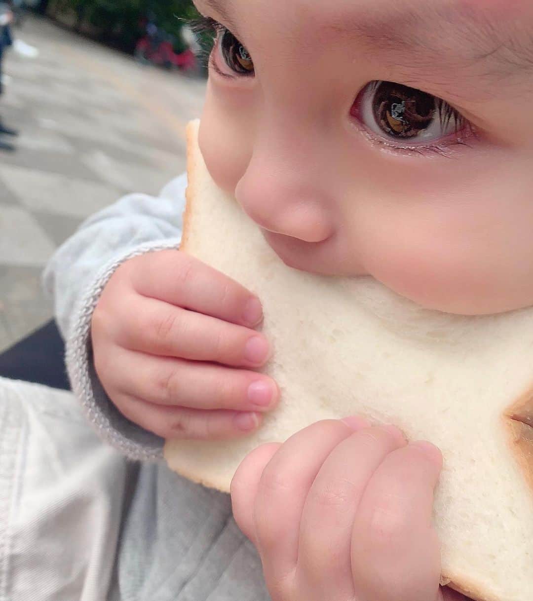 のインスタグラム：「パンをかじるおちびーぬ💓💓💓 #公園 #食パン」